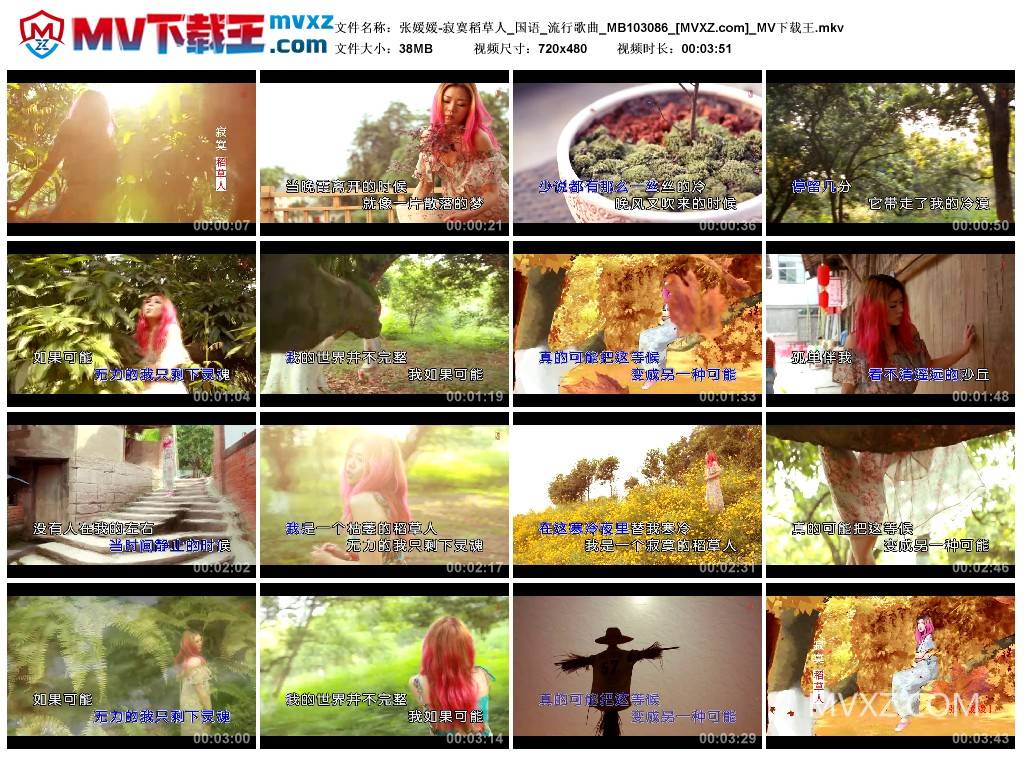 张媛媛-寂寞稻草人_国语_流行歌曲_MB103086